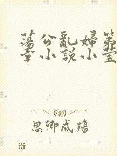 荡公乱妇第51章小说小莹