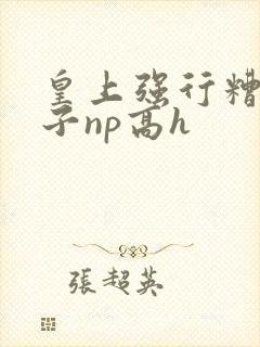 皇上强行糟蹋太子np高h