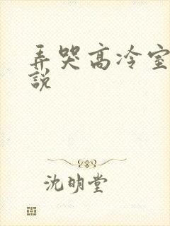 弄哭高冷室友小说