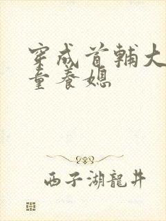 穿成首辅大人的童养媳