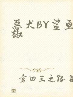 恶犬BY鲨鱼辣椒