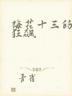 梅花十三的乳液狂飙