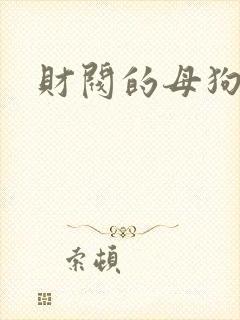 财阀的母狗们