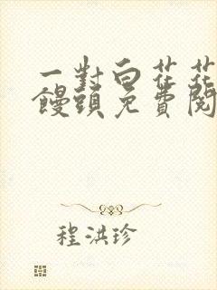 一对白花花的大馒头免费阅读