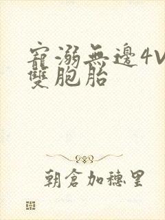 宠溺无边4V2双胞胎