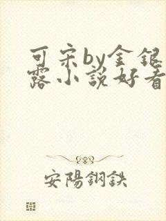 可宋by金银花露小说好看吗