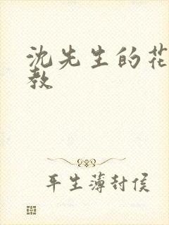 沈先生的花式管教