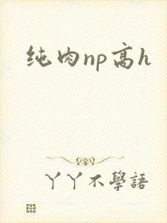 纯肉np高h