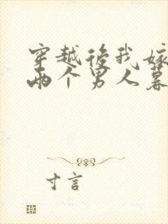 穿越后我嫁给了两个男人暮色酒歌