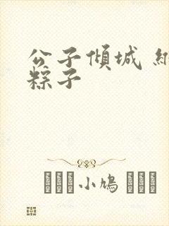 公子倾城 维和粽子