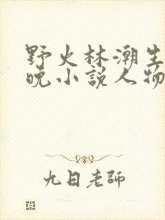 野火林潮生林晚晚小说人物野火