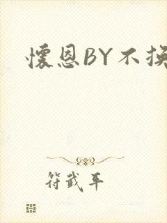 怀恩BY不换