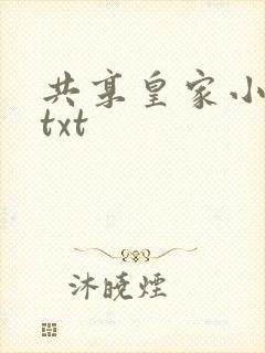 共享皇家小公主txt