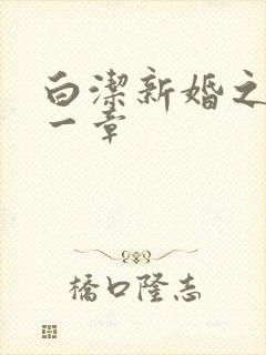 白洁新婚之夜第一章