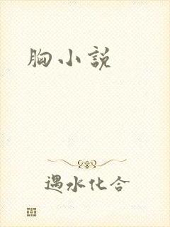 胸小说