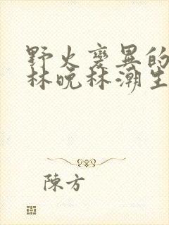 野火变异的父爱林晚林潮生