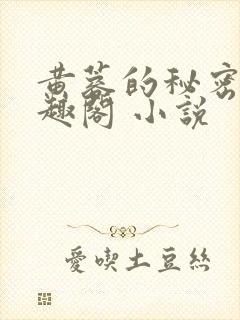 黄蓉的秘密 笔趣阁 小说