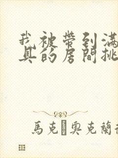 我被带到满是玩具的房间挑调作文