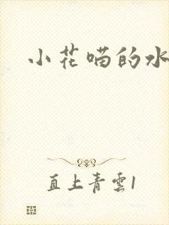 小花喵的水蜜桃