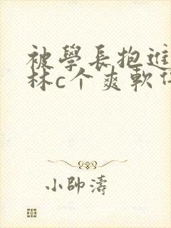 被学长抱进小树林c个爽软件