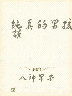 纯真的男孩子小说