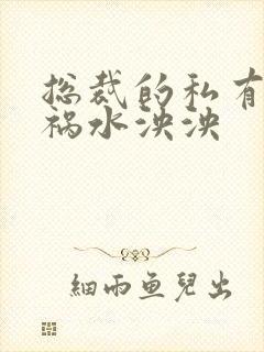 总裁的私有宝贝祸水泱泱