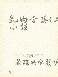 乱肉合集(二)小说