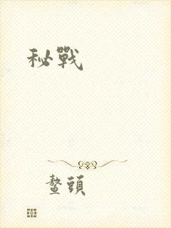 秘战