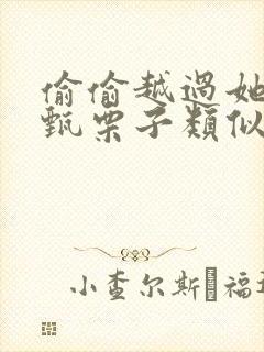 偷偷越过她by甄栗子类似小说