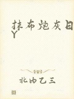 抹布炮灰日记BY