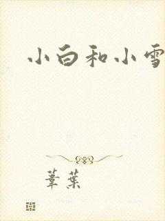 小白和小雪