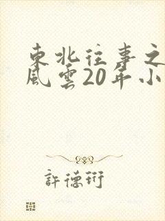 东北往事之黑道风云20年小说