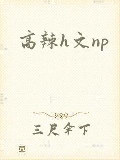 高辣h文np