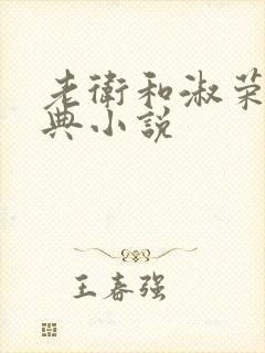 老卫和淑荣的经典小说