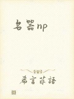名器np
