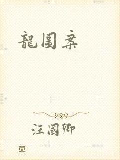 龙图案