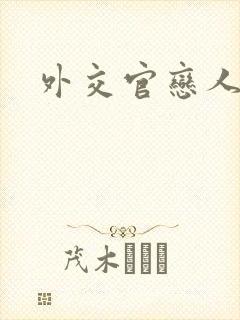 外交官恋人小说