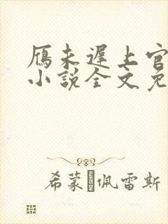 雁未迟上官穿越小说全文免费阅读