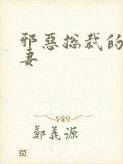 邪恶总裁的娇宠妻