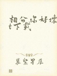 相公你好坏txt下载