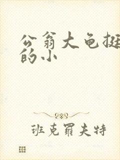 公翁大龟挺进我的小