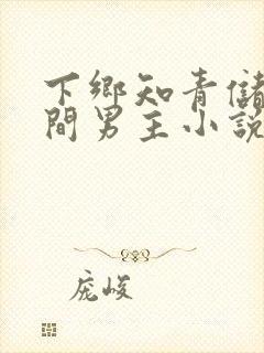 下乡知青储物空间男主小说