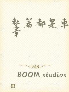 整篇都是车的文章