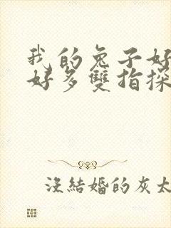 我的兔子好软水好多双指探洞小说