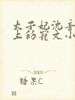 太子妃沈音和皇上的宠文小说