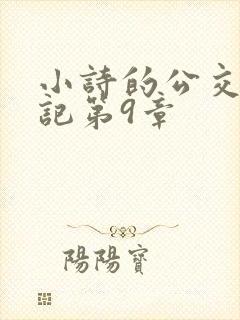 小诗的公交车日记第9章