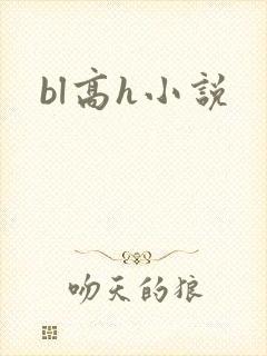 bl高h小说