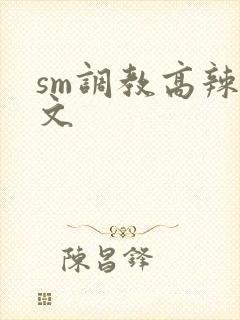 sm调教高辣h文