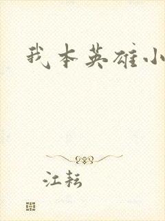 我本英雄小说