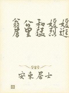 翁公和媛媛在厨房里猛烈进出